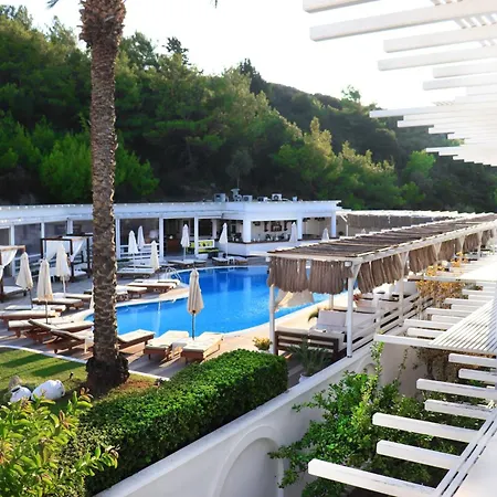 Aloe - Adults Only 4*
